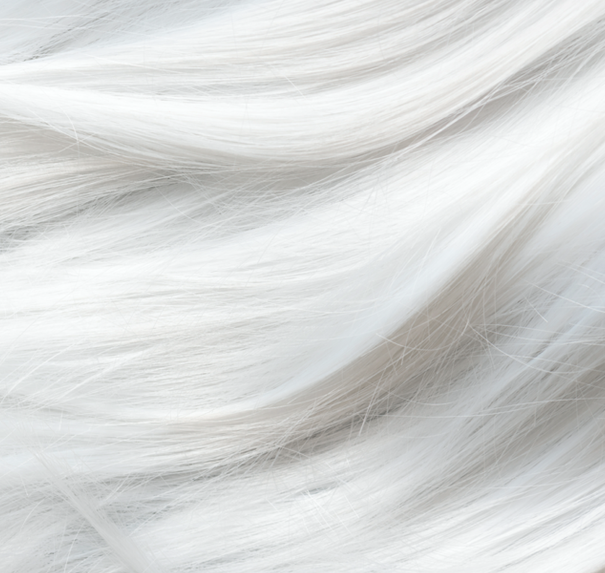 SET⚡ 7 Clip (7181044187305)